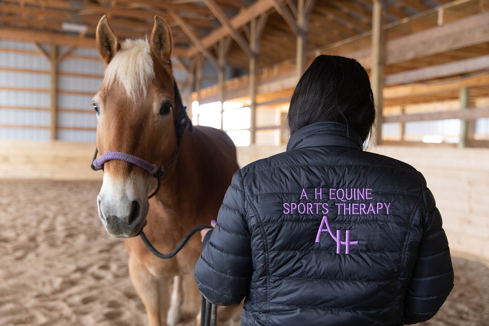 ####_MAGS_horses_ss-17.jpg-web